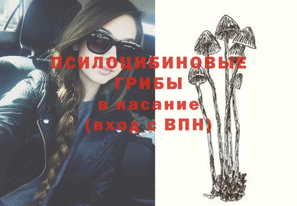 трава Абинск
