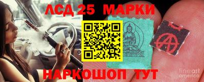 трава Кандалакша