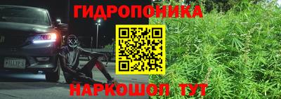 трава Кандалакша