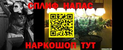 трава Кандалакша