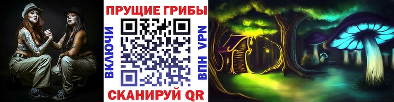 Галлюциногенные грибы MAGIC MUSHROOMS  дарк нет наркотические препараты  Симферополь 