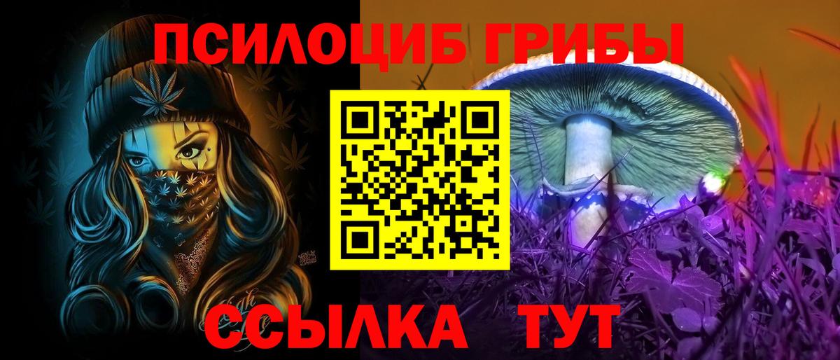 дарнет шоп  Псилоцибиновые грибы прущие грибы  Вход с VPN  Симферополь 