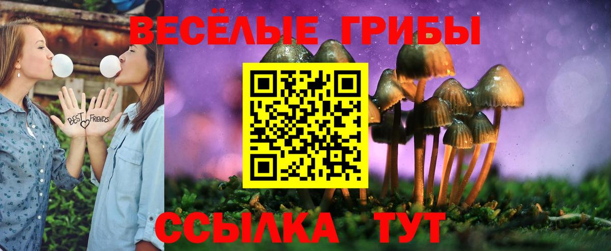 Галлюциногенные грибы GOLDEN TEACHER Симферополь